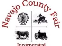 Home 13 Navajo County Fair